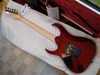RG8470F Limited Color 4.bmp.jpg